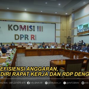 Rapat Dengar Pendapat — foto 2