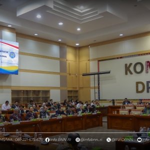 Rapat Dengar Pendapat — foto 3